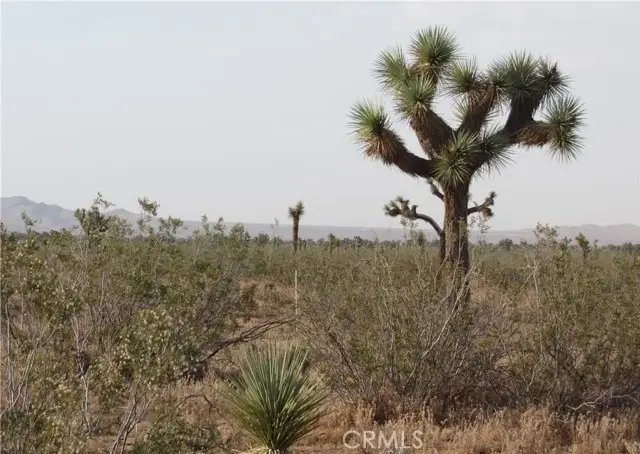 0 3129-171-06-0000 Caughlin Road, Adelanto, CA 92301 - #1