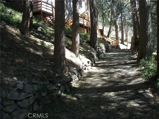 21636 Sawpit Canyon, Cedarpines Park, CA 92322 - #3