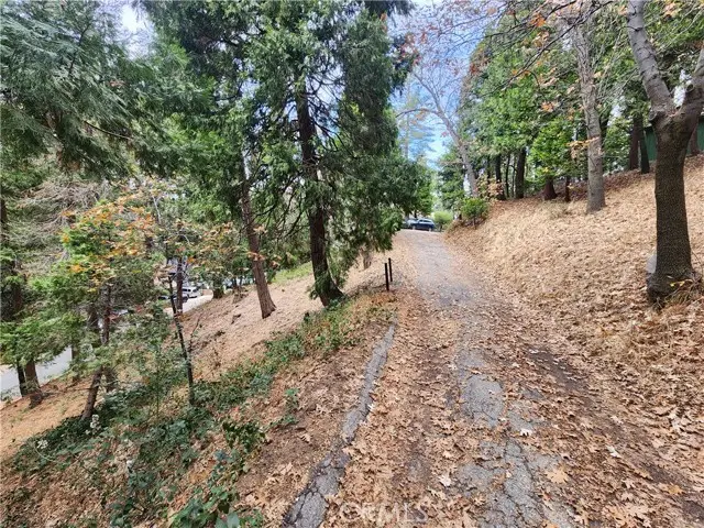 24397 Horst Drive, Crestline, CA 92325 - #2