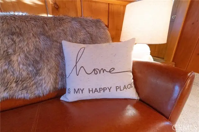 43131 Grizzly, Big Bear Lake, CA 92315 - #3