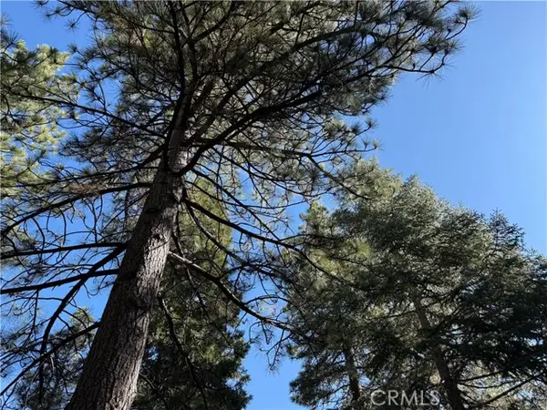 27334 Pinewood Drive, Lake Arrowhead, CA 92352