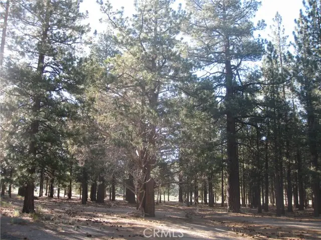 2818 Erwin Ranch Road, Big Bear City, CA 92314 - Image #1