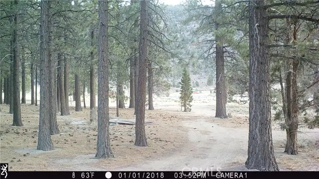 2818 Erwin Ranch Road, Big Bear City, CA 92314 - Image #2