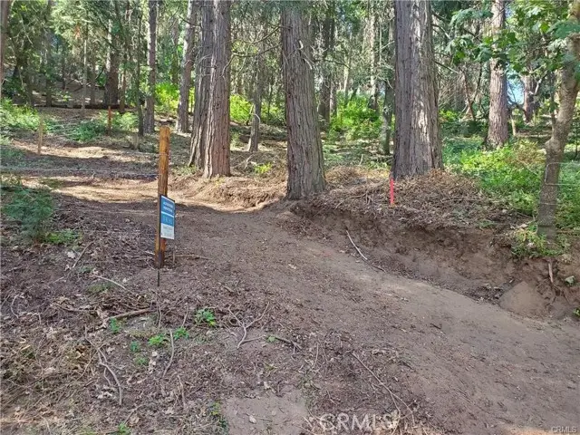 47 El Valle, Cedarpines Park, CA 92322 - Image #2