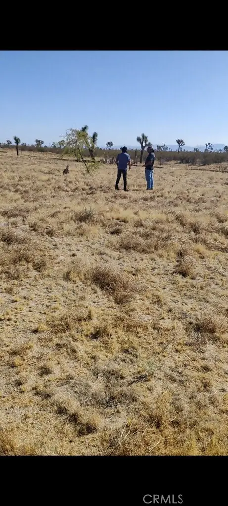 6800 South Street, Phelan, CA 92371 - Image #3