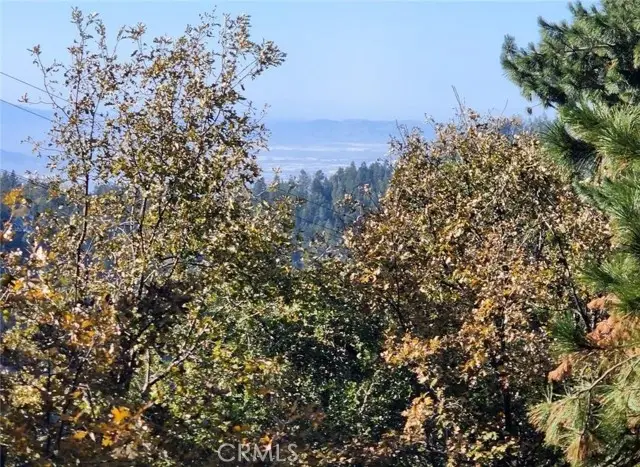 900 Lo Lane, Twin Peaks, CA 92391 - Image #3