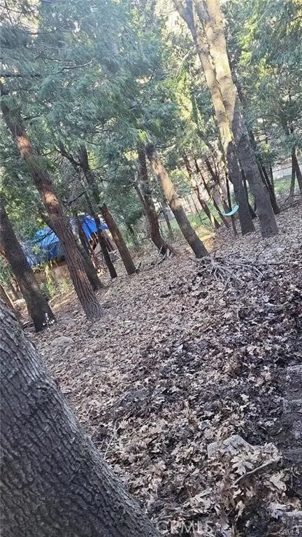 0 Bowl Road, Crestline, CA 92325 - Image #2