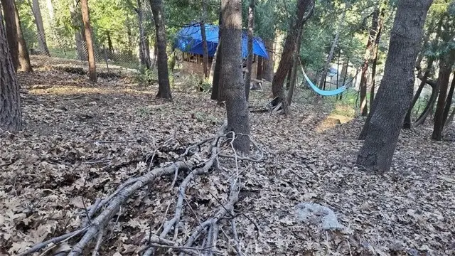 0 Bowl Road, Crestline, CA 92325 - Image #3