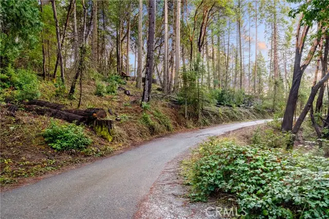 24870 Ridgecrest Drive, Pioneer, CA 95666 - Image #3