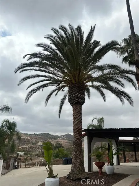 20515 Bushton Place, Perris, CA 92570 - Image #2