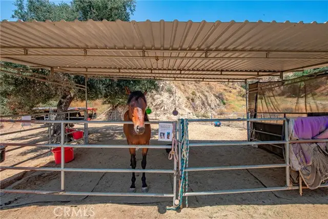 3597 Shaw Ranch Road, Pasadena, CA 91107 - Image #3