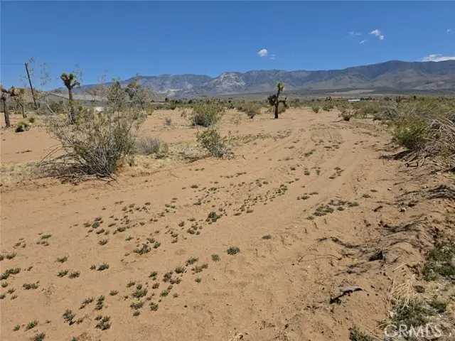 31357 Pawnee Street, Lucerne Valley, CA 92356 - Image #2