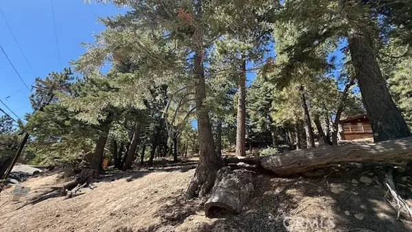 33112 Juniper Lane, Green Valley Lake, CA 92341