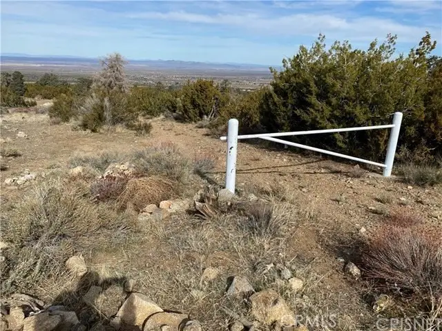 0 Vac Vic Pines 260 Ste 49, Llano, CA 93544 - #3