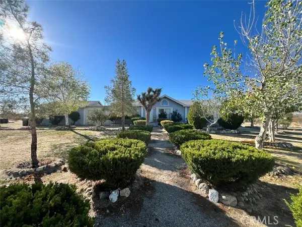 1011 Danbury, Pinon Hills, CA 92372