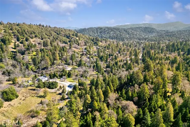 330 Canyon Drive, Cedarpines Park, CA 92322 - #2