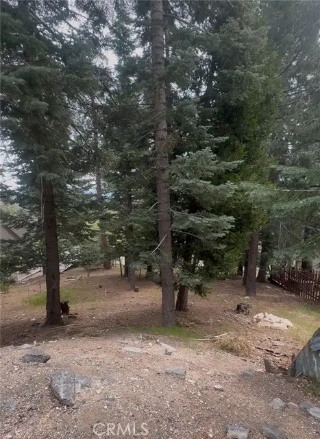 295 Grandview, Twin Peaks, CA 92391