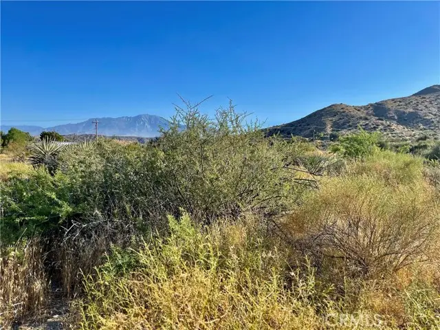 49200 Old Mill Road, Morongo Valley, CA 92256 - Image #2