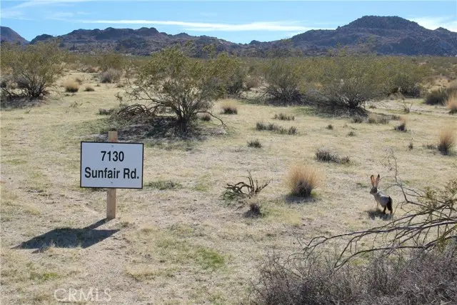 7130 Sunfair Road, Joshua Tree, CA 92252 - Image #2