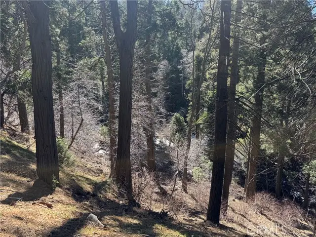 0 Sunderland Court, Lake Arrowhead, CA 92352 - Image #1