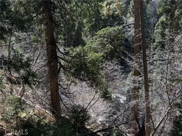 0 Sunderland Court, Lake Arrowhead, CA 92352 - Image #2