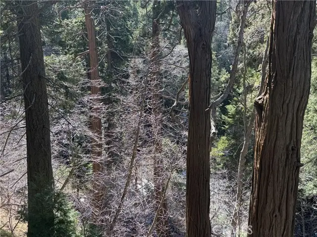 0 Sunderland Court, Lake Arrowhead, CA 92352 - Image #3