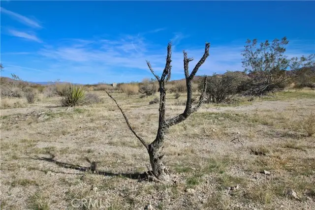 64755 Foothill Drive, Joshua Tree, CA 92252 - Image #3