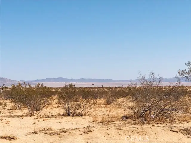 #3