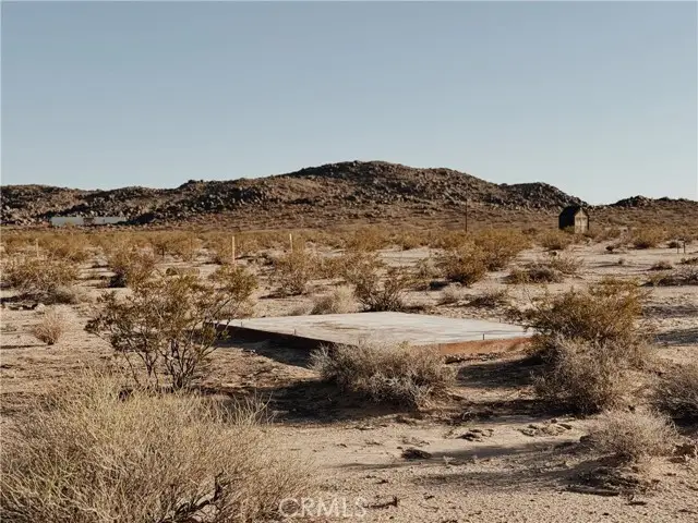 #3