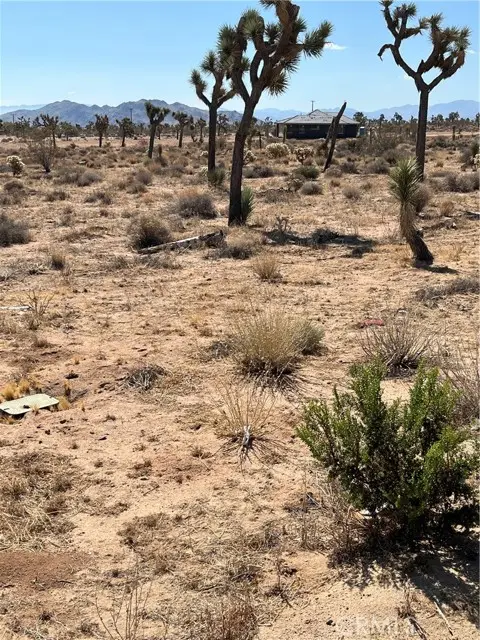 2801 Avalon Avenue, Yucca Valley, CA 92284 - Image #2