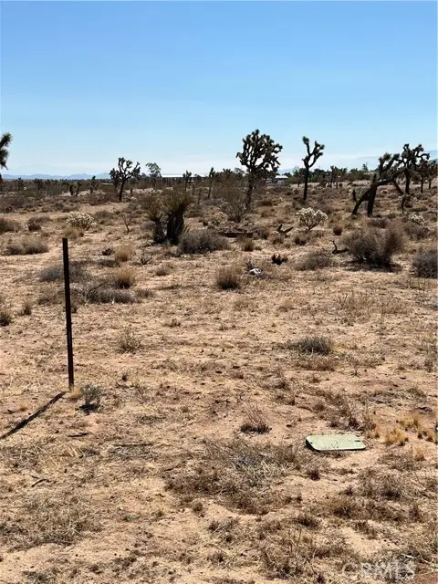 2801 Avalon Avenue, Yucca Valley, CA 92284 - Image #3