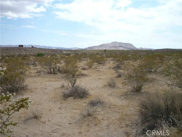 2345 Sunny Sands Drive, Joshua Tree, CA 92252 - Image #3