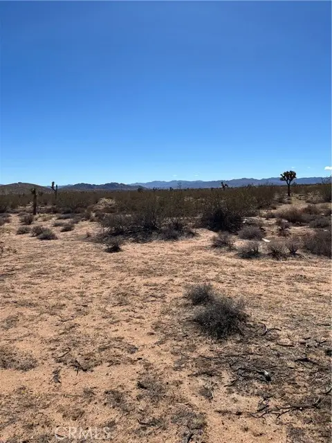 0 Avalon, Landers, CA 92285 - #1