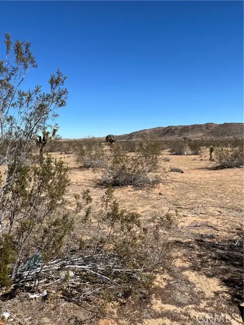 0 Avalon, Landers, CA 92285 - #2