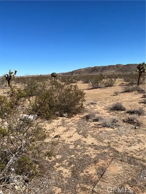 0 Avalon, Landers, CA 92285 - #3