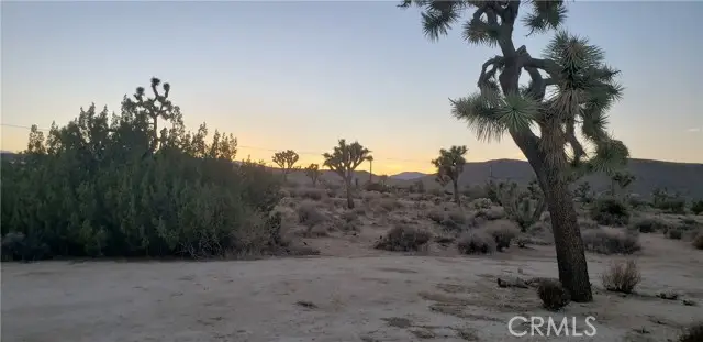 1234 Canton Street, Yucca Valley, CA 92284 - Image #1