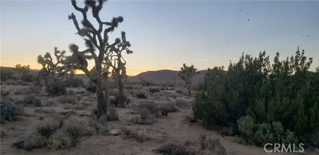 1234 Canton Street, Yucca Valley, CA 92284 - Image #3