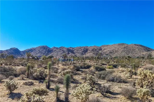 7505 Sherwood Road, Joshua Tree, CA 92252 - Image #1