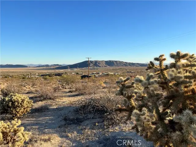 7084 Mount Shasta Avenue, Joshua Tree, CA 92252 - Image #3