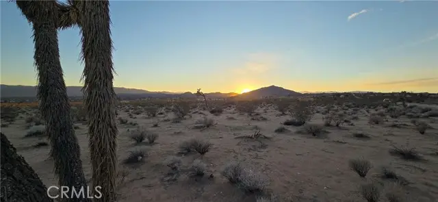 2 Belmont Street, Joshua Tree, CA 92252 - Image #2