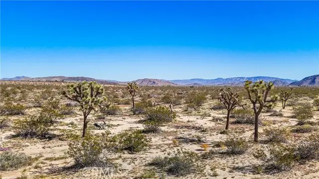 57645 Reche Road, Landers, CA 92285 - #2
