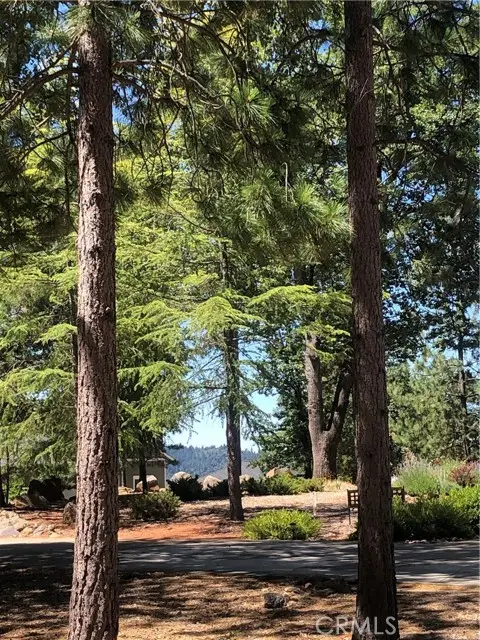 8833 Fox Drive, Cobb, CA 95426 - Image #1