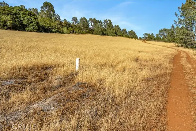 20102 Jaclyn Drive, Middletown, CA 95461 - Image #3