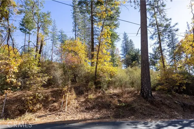 10991 Gifford Springs Road, Cobb, CA 95426 - Image #3