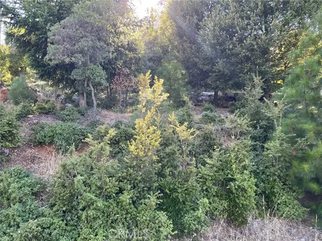 3607 Pine Terrace Drive, Kelseyville, CA 95451 - Image #2