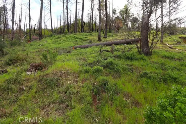 11541 Anderson Springs Road, Middletown, CA 95461 - Image #1