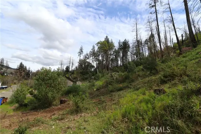 11541 Anderson Springs Road, Middletown, CA 95461 - Image #2