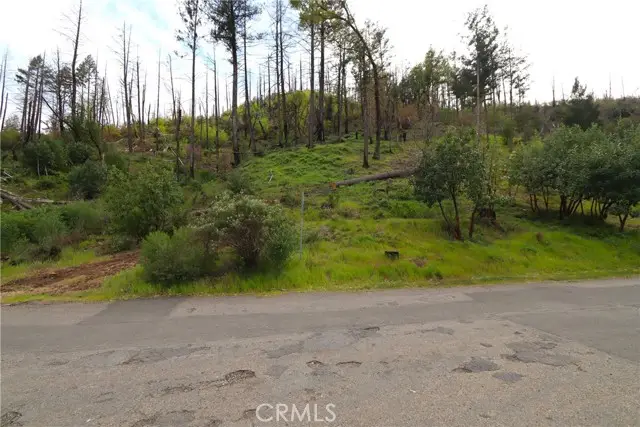 11541 Anderson Springs Road, Middletown, CA 95461 - Image #3