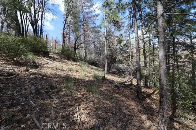 11256 Loch Lomond Road, Lake, CA 95461 - Image #2