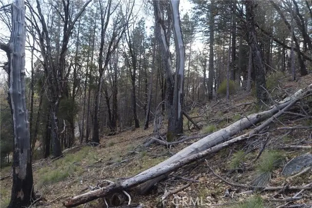 11256 Loch Lomond Road, Lake, CA 95461 - Image #3